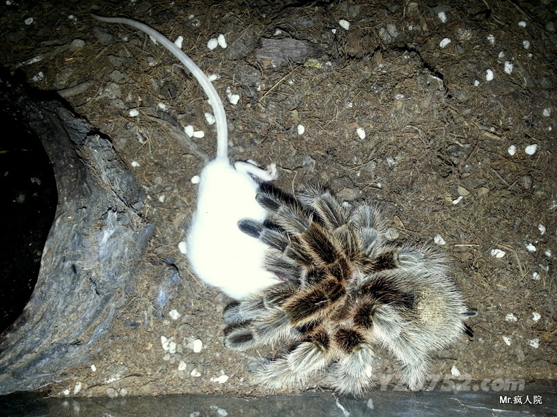 20130707_221025.jpg