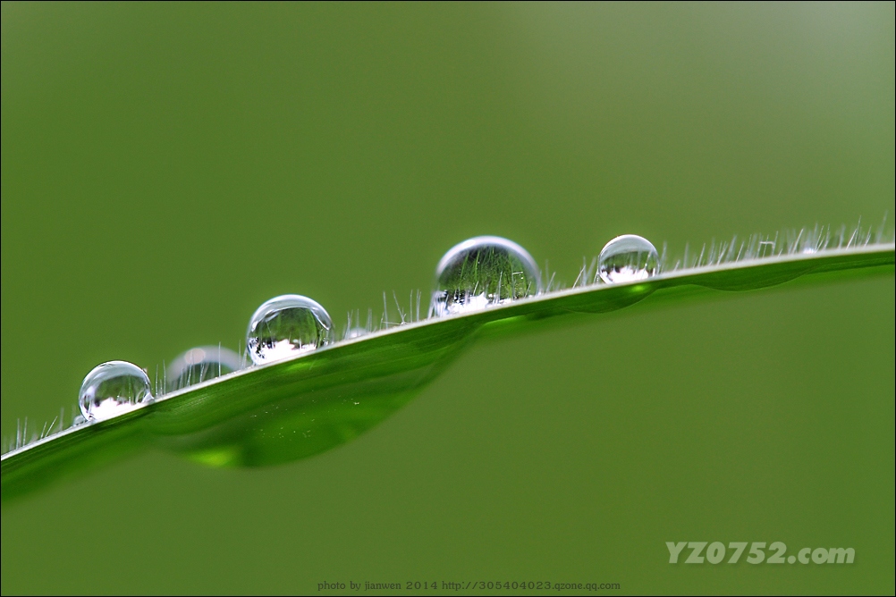 IMG_6428~1.jpg