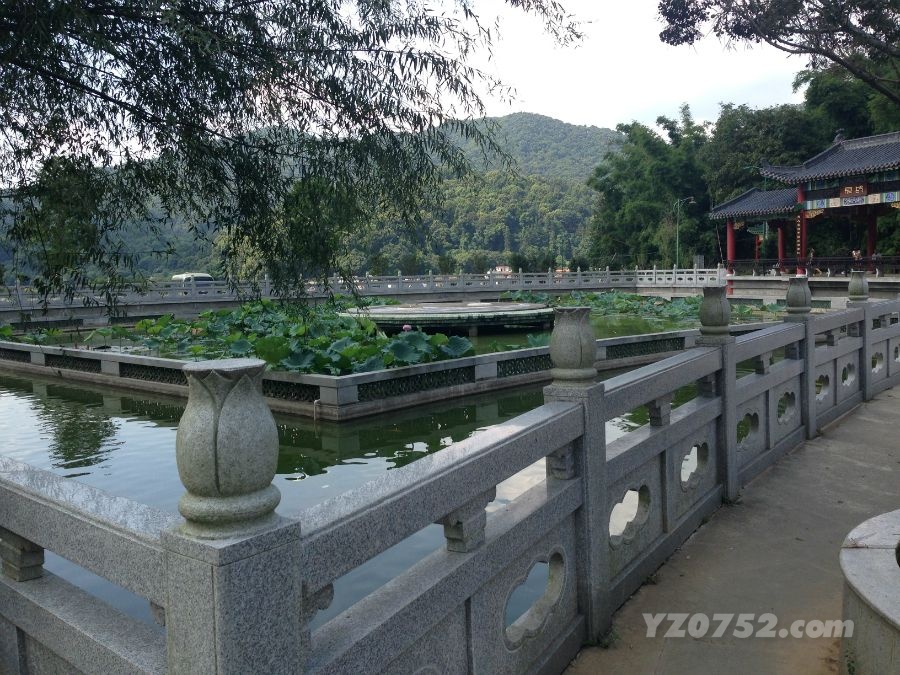 180413trr9ktpkmv9phtp7.jpg