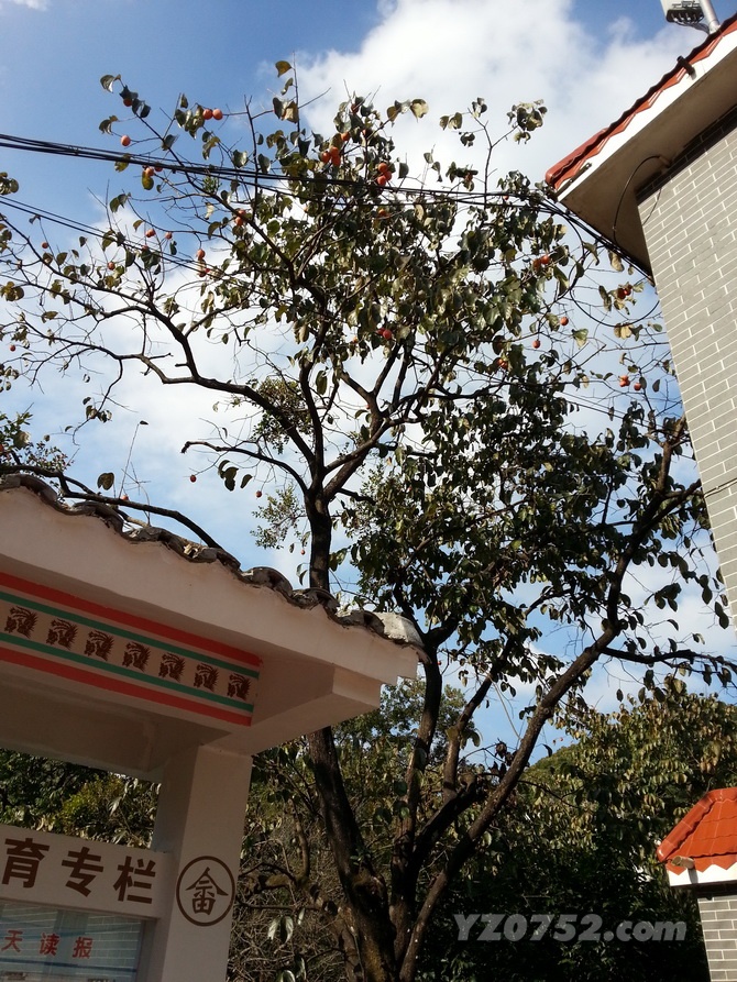 20141123_151845_С.jpg