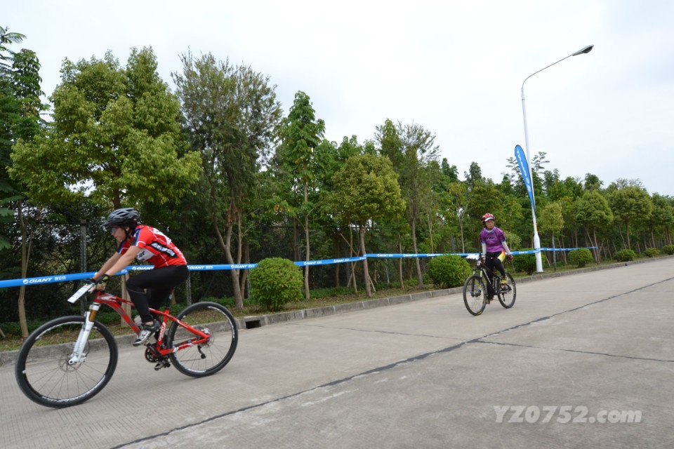 204700q66cati6cido41df.jpg