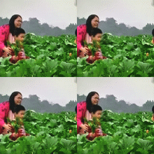 IMG_3073.GIF