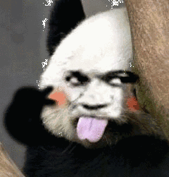 -5c36d1c4ed1b633.gif