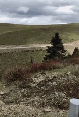 0.gif
