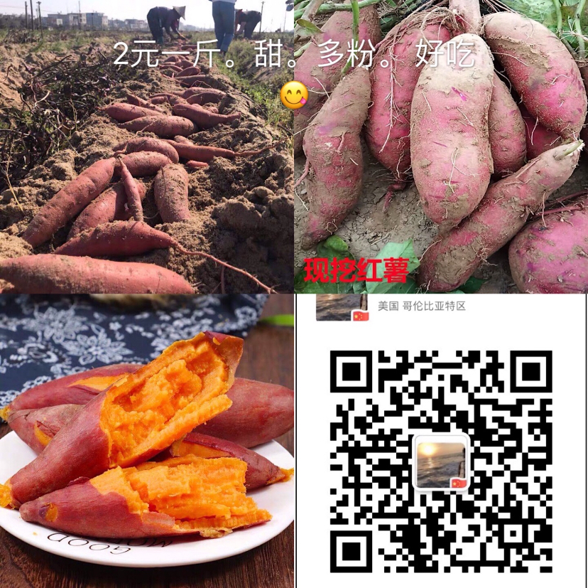 9744C048-061C-4546-B5CE-87829DC91F10.jpeg