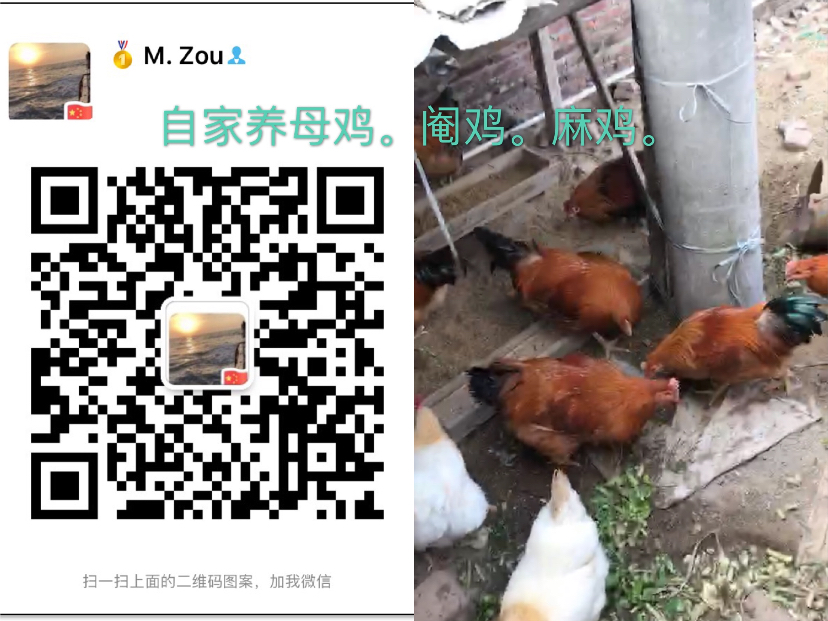 F00B4549-A520-4743-A53F-7E8E249CAEF7.jpeg