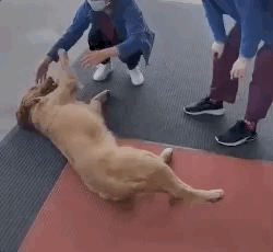 0.gif