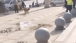 0.gif