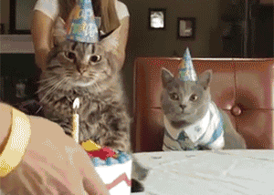 0.gif