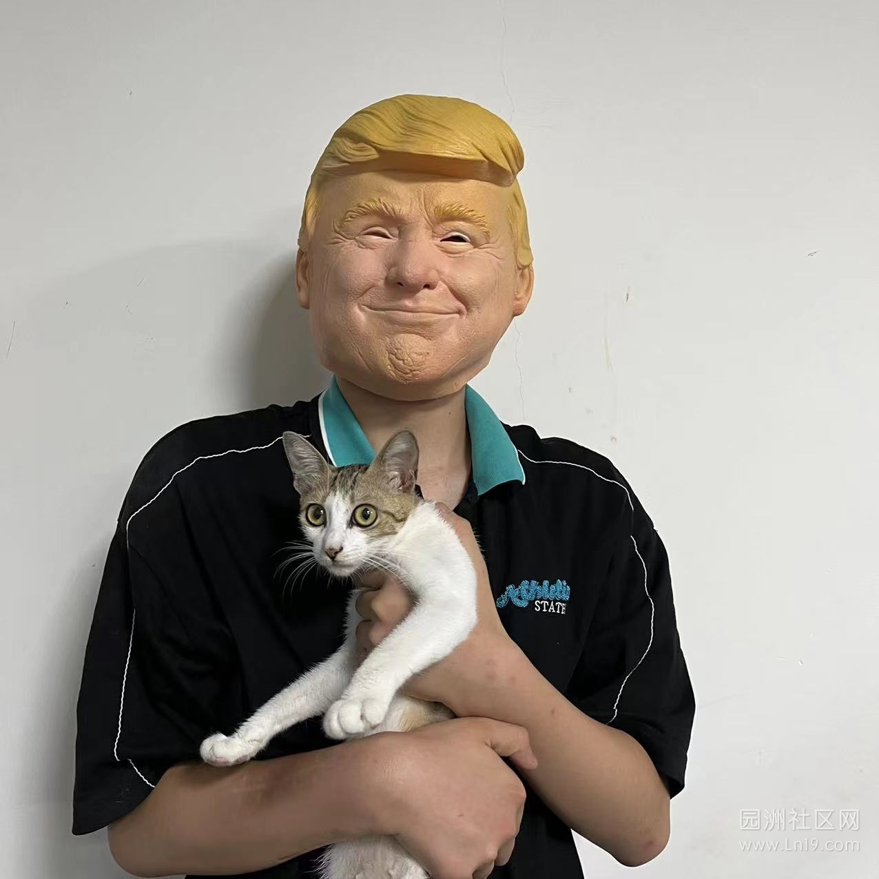 һֻĸè