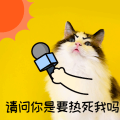 ɹèGIFͼ.gif