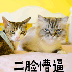 ±ȳèGIFͼ.gif