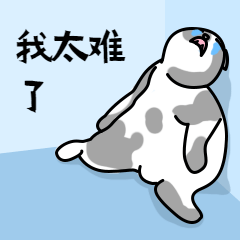 640 (20).gif