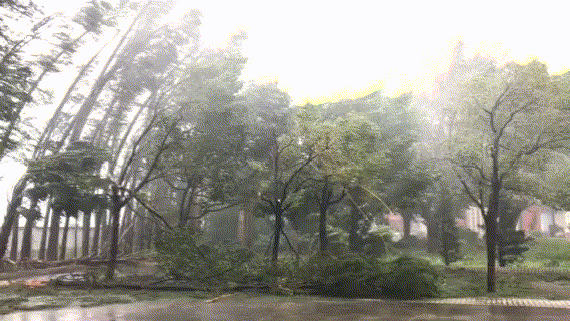 640 (40).gif