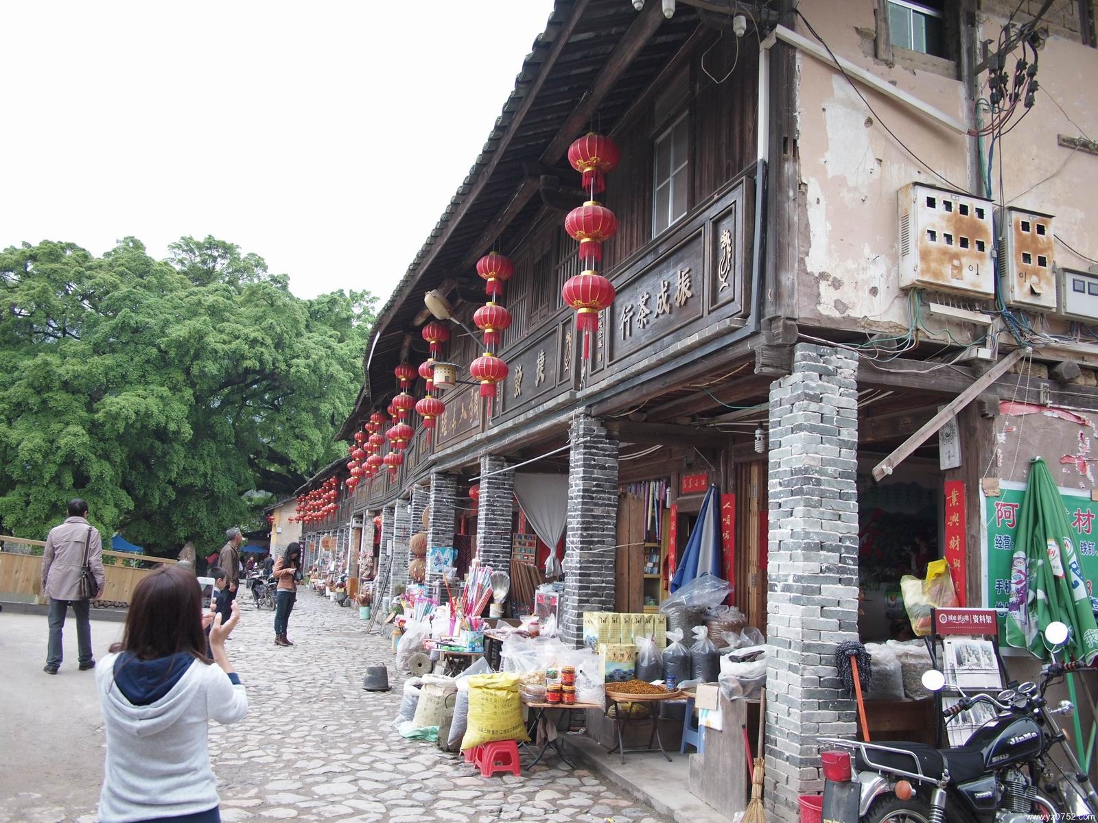 P3315362.JPG