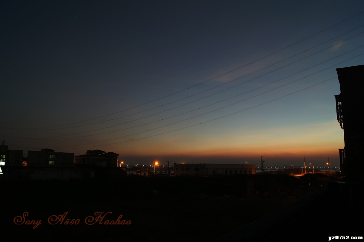 DSC01541.jpg