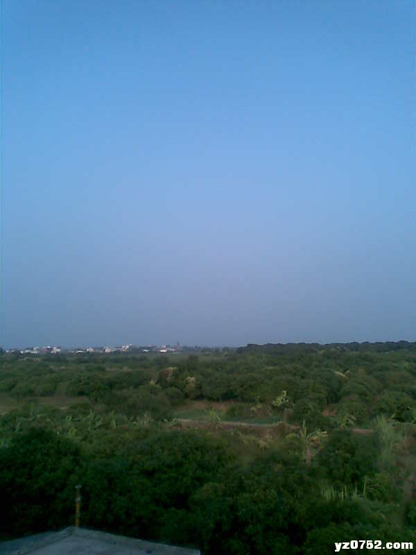 D012.jpg