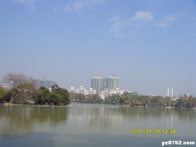 91.jpg