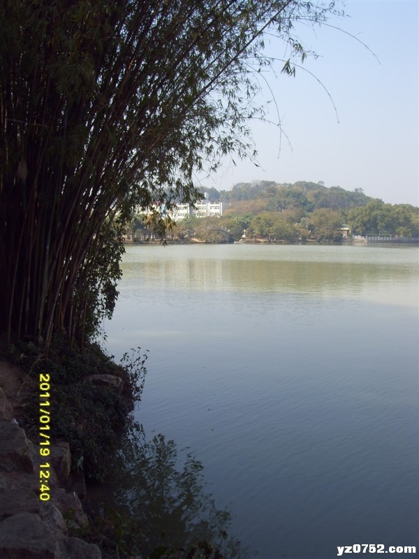 94.jpg