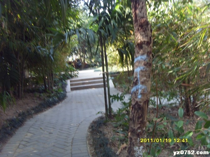 105.jpg