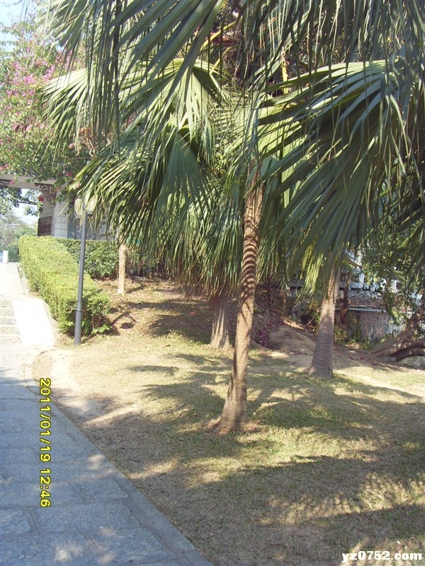 139.jpg