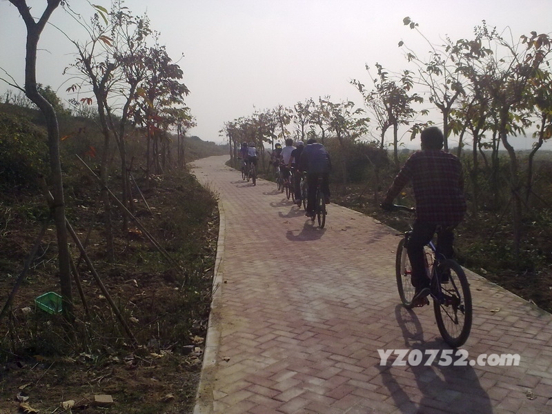 20110209740_С.jpg