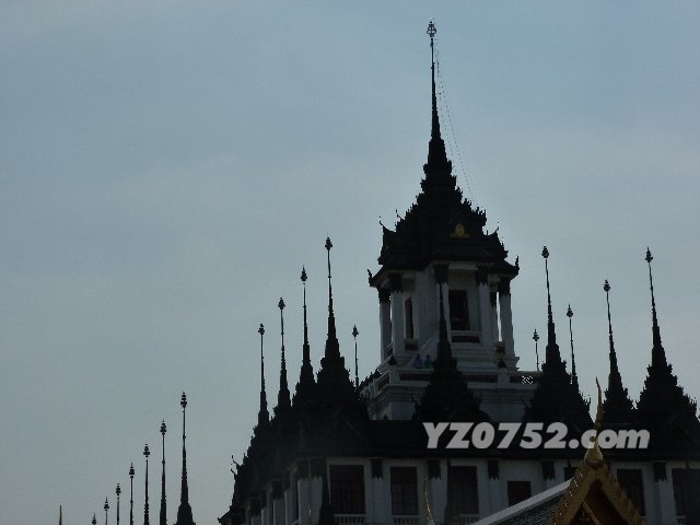 TD776_P1030152.JPG