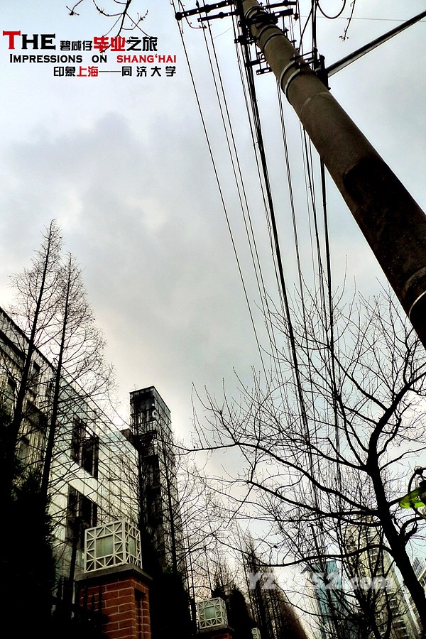 P1030063.jpg
