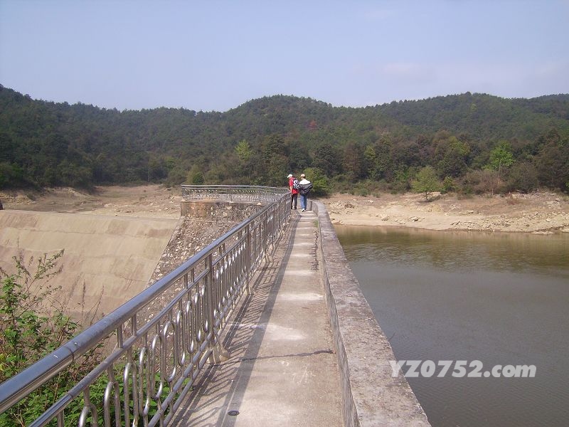 RIMG2714.JPG