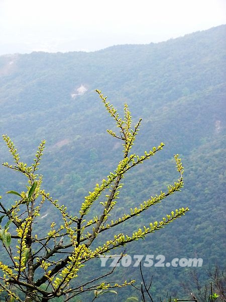 DSCF2920.jpg