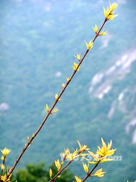 DSCF2925.jpg