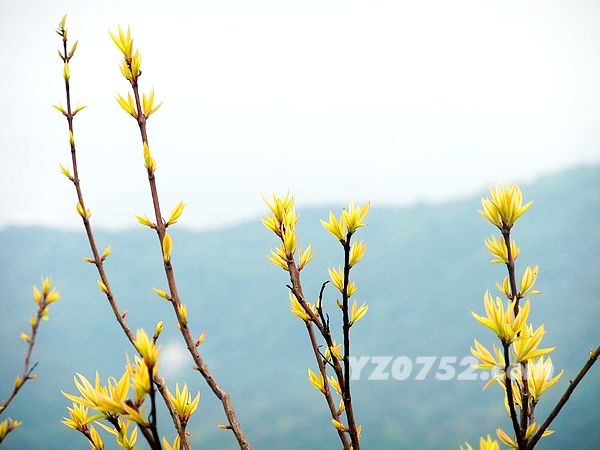 DSCF2926.jpg
