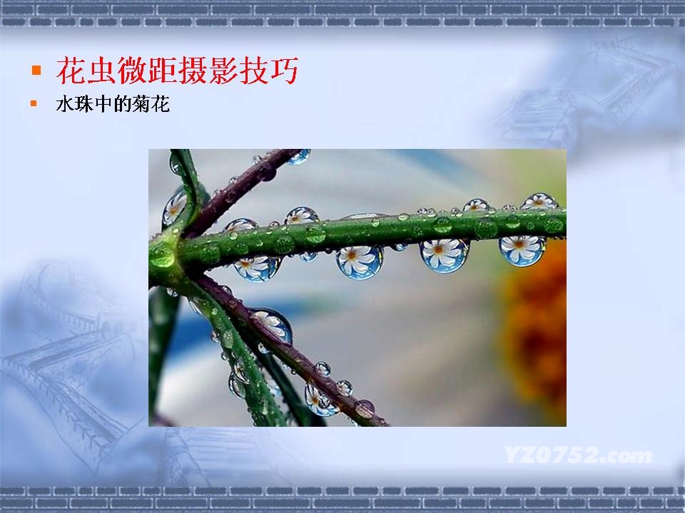 20090313_37bd36e2e956fe5caa1bY9UKuayMSlXL.jpg