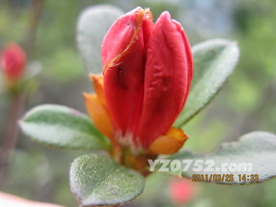 IMG_2499_С.jpg
