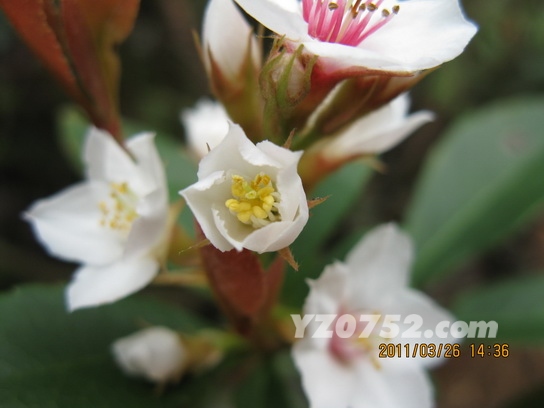 IMG_2504_С.jpg