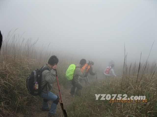 IMG_2696_С.jpg