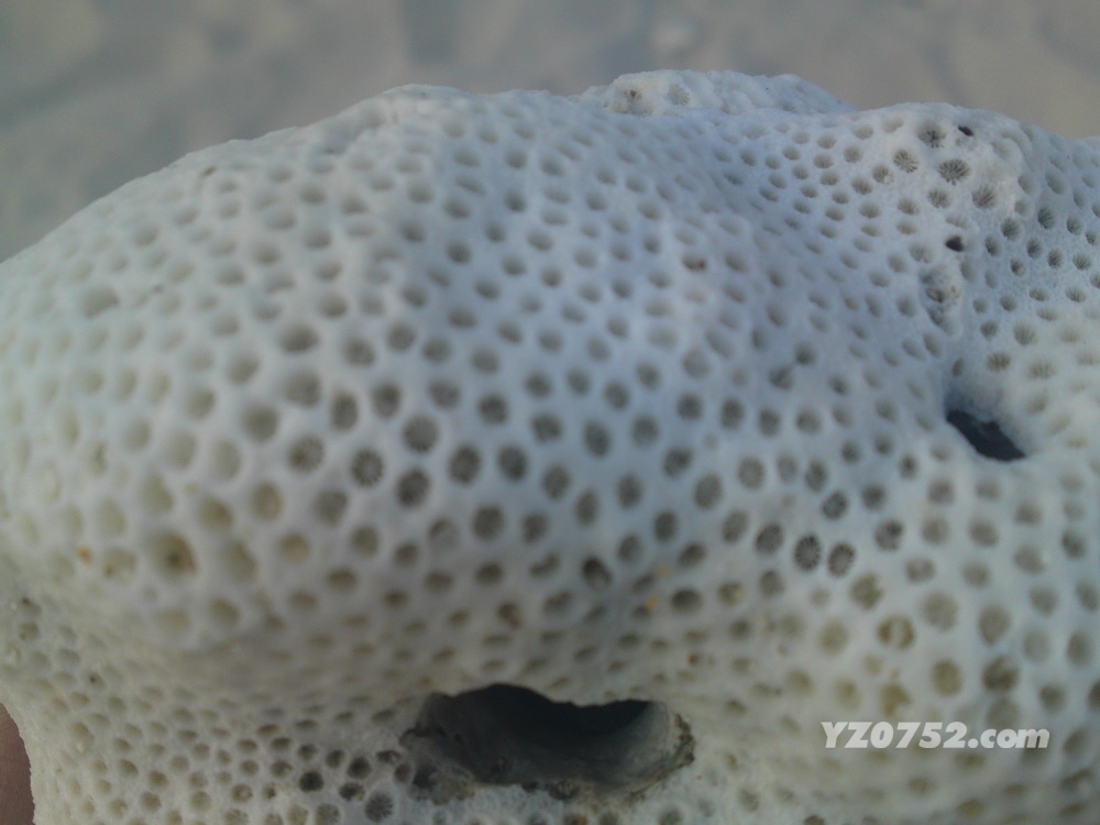 20110402654.JPG