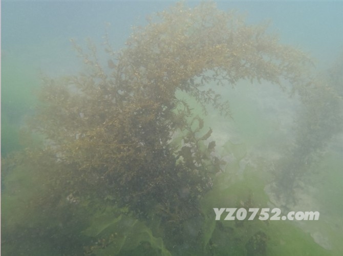һ87.jpg