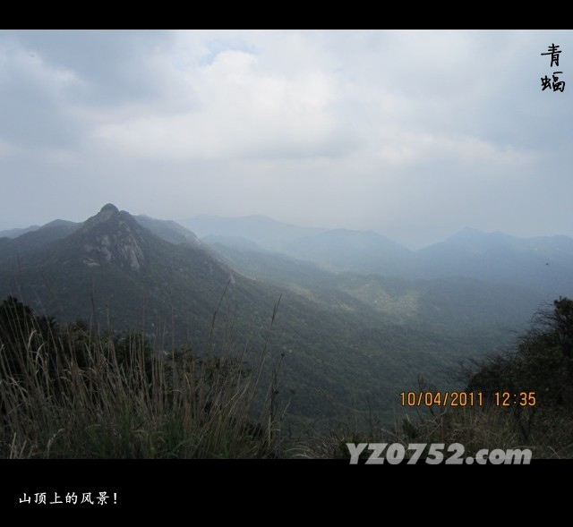 IMG_0966_conew1.jpg