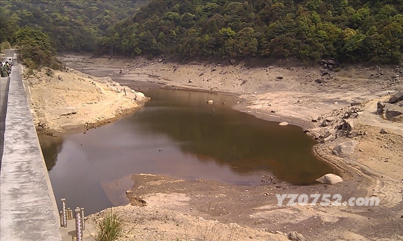 IMAG0037.jpg