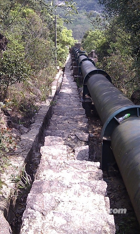 IMAG0095.jpg