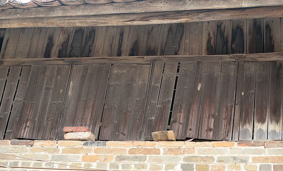 IMG_1306¥Ŵ.jpg