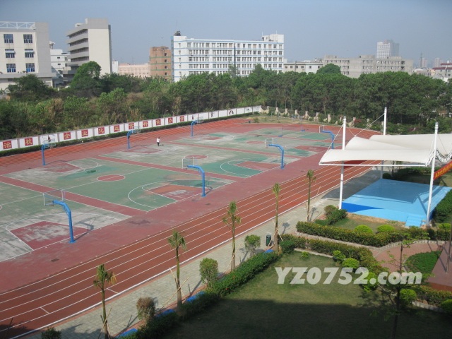 IMG_3123.jpg