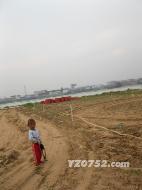 IMG_3219.jpg