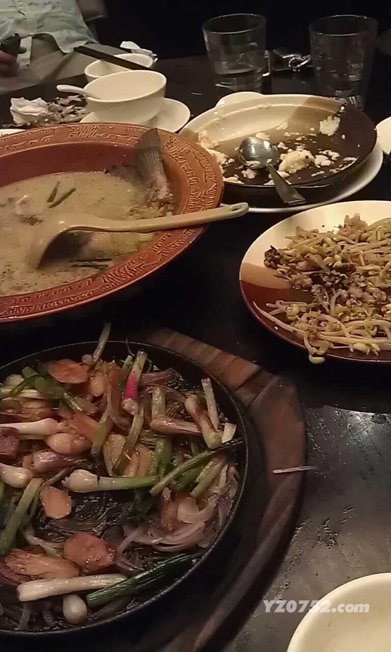 ϴԴӦ.jpg