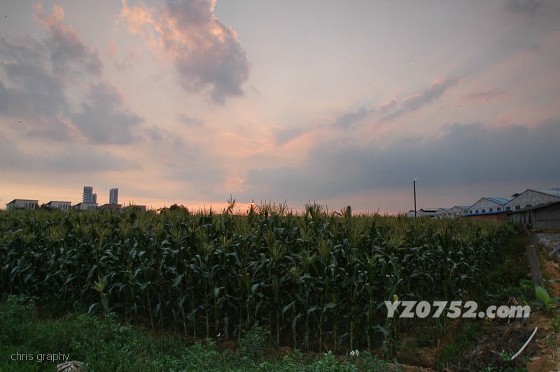 DSC_7363.jpg