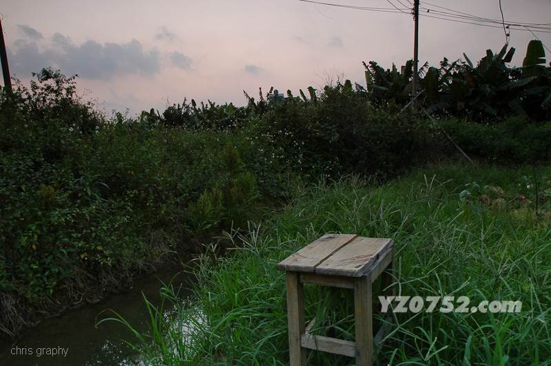 DSC_7375.jpg