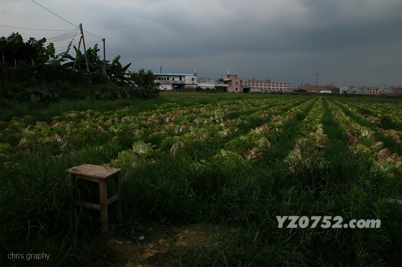 DSC_7378.jpg