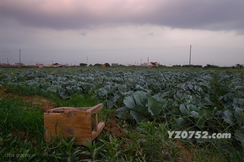 DSC_7372.jpg