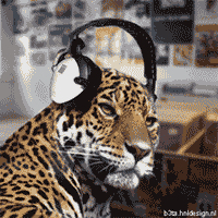 δ..gif